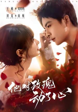 他对玫瑰动了心（68集）王楠＆初夏（夸克网盘）封面图 - 短剧短剧