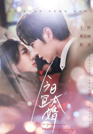 今日宜大婚（59集）王轩＆郑雨晨（夸克网盘）封面图 - 喜剧短剧