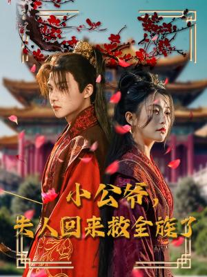 小公爷夫人回来救全族了（100集）黄子淇＆雷笑语（夸克网盘）封面图 - 短剧短剧