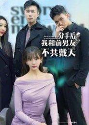 分手后，我和前男友不共戴天（85集）邓恒建&张燕子封面图 - 都市短剧