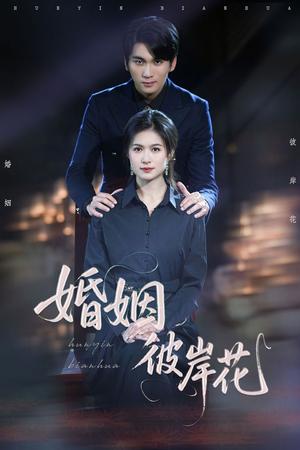 婚姻彼岸花（63集）伍月&李思杨（夸克网盘）封面图 - 短剧短剧