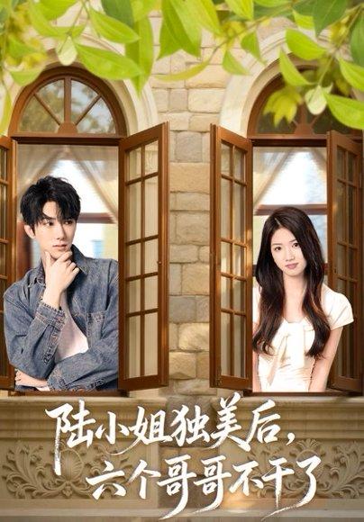 陆小姐独美后六个哥哥不干了(84集) 陆小姐独美后六个哥哥不干了(84集)封面