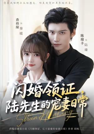 闪婚领证，陆先生的宠妻日常（86集）陈瑞丰＆查祎琛（夸克网盘）封面图 - 短剧短剧