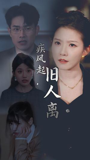 疾风起旧人离（32集）（夸克网盘）封面图 - 情感短剧
