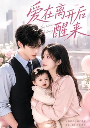 《爱在离开后醒来》短剧封面