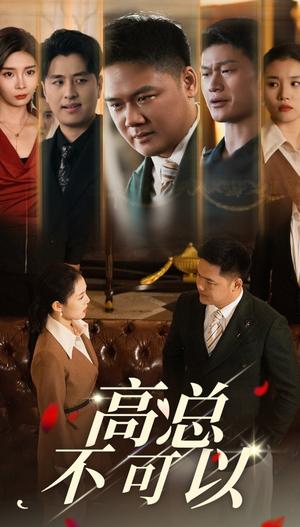 高总不可以（45集）（夸克网盘）封面图 - 都市短剧