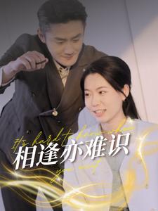 相逢亦难识（50集）（夸克网盘）封面图 - 短剧短剧