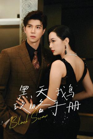 黑天鹅攻略手册（72集）蹇代莉（夸克网盘）封面图 - 短剧短剧