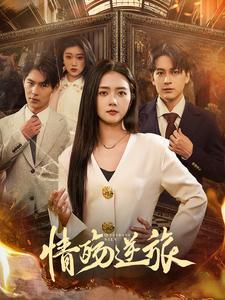 情殇逆旅（90集）雷玉孟（夸克网盘）封面图 - 情感短剧