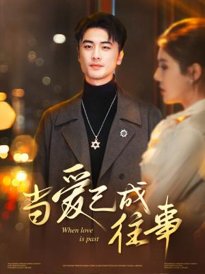 当爱已成往事（30集）张黎昊&李雨欣（夸克网盘）封面图 - 短剧短剧