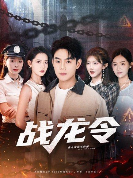 战龙令（76集） - 武侠短剧封面