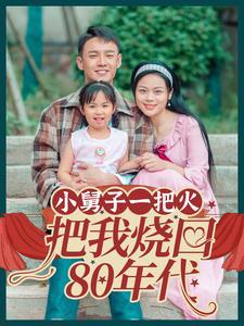 小舅子一把火把我烧回80年代（100集）（夸克网盘）封面图 - 短剧短剧