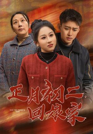 正月初二回娘家(41集)(夸克网盘) 正月初二回娘家(41集)(夸克网盘)封面