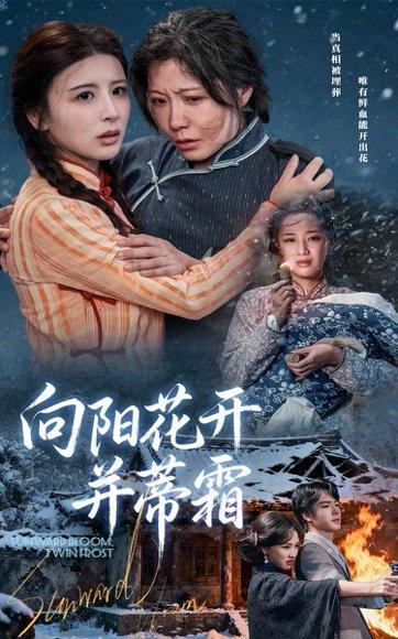 向阳花开并蒂霜封面图 - 爱情短剧