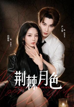 荆棘月色(86集)严子贤&向婧怡(夸克网盘) 荆棘月色(86集)严子贤&向婧怡(夸克网盘)封面