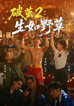 破茧2：生如野草（55集）曹竣柯＆郭颖（夸克网盘）封面