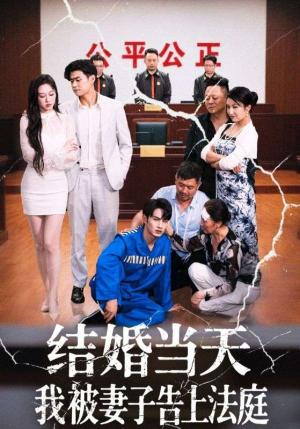 结婚当天我被妻子告上法庭（30集）王惠子&张玉忱 - 都市伦理短剧封面