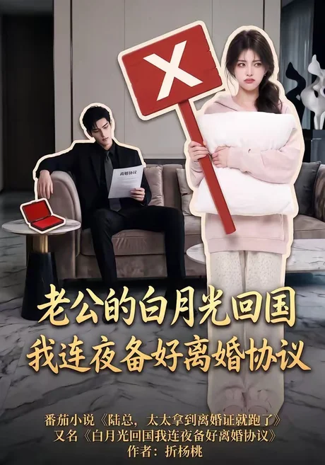 《老公的白月光回国我连夜备好离婚协议(100集)(夸克网盘)》短剧封面