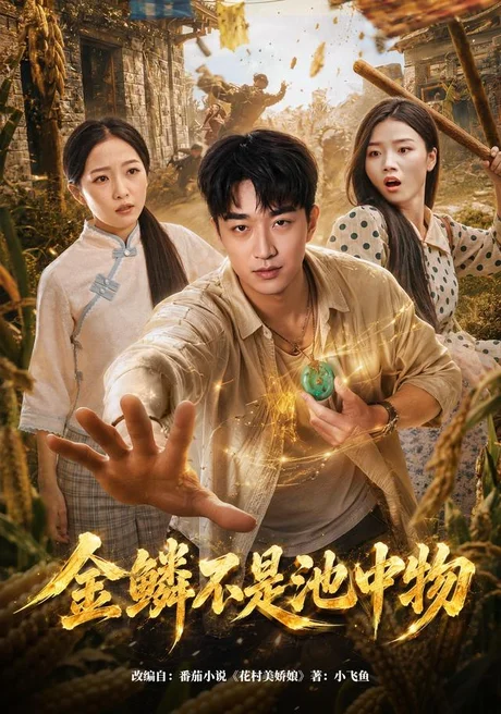 《金鳞不是池中物（80集）王必可＆许幻幻（夸克网盘）》短剧封面