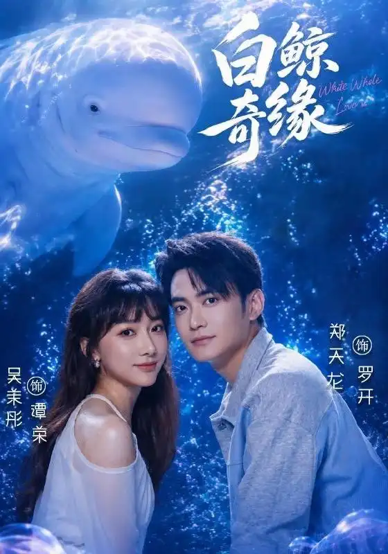 《白鲸奇缘(52集)吴茉彤&郑天龙&王志豪&刘倩宇&梅先锋(1080P)(夸克网盘)》短剧封面