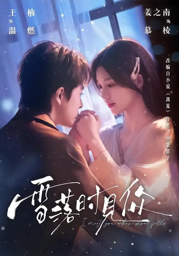 《雪落时见你（93集）王楠＆姜之南（夸克网盘）》短剧封面