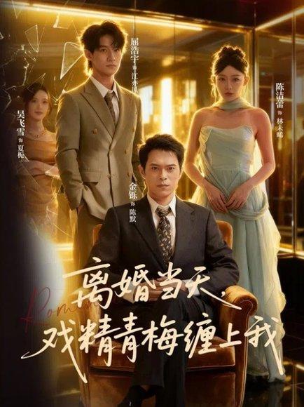 离婚当天戏精青梅缠上我（79集）陈洁蕾&金铄封面图 - 爱情短剧