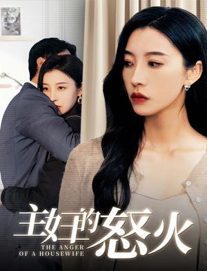 主妇的怒火（60集）（夸克网盘）封面图 - 家庭逆袭短剧