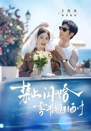 禁止闪婚,雾散归栖时 《禁止闪婚,雾散归栖时》短剧封面