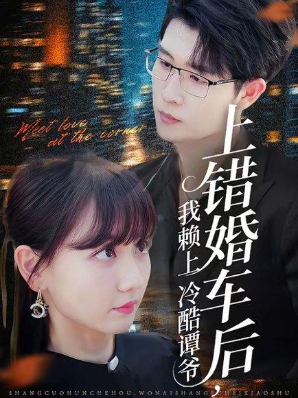 上错婚车，错娶绝色千金（80集）申芳赫&孙雪阳（百度网盘）封面图 - 都市短剧