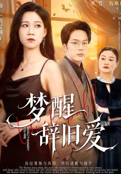 梦醒辞旧爱（55集）陈七七＆关一夫（百度网盘）封面图 - 爱情短剧