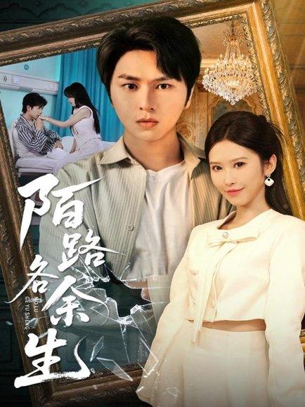 陌路各余生（65集）张易嵘＆秦玺&王珊珊封面图 - 都市虐恋短剧