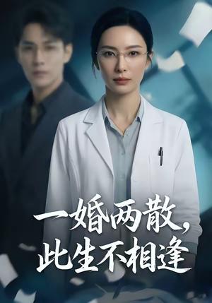 一婚两散,此生不相逢(33集)(夸克网盘) 一婚两散,此生不相逢(33集)(夸克网盘)封面