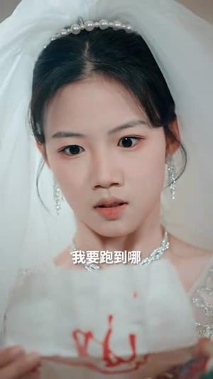 三个锦囊（70集）叶庭＆高洁慧（夸克网盘）封面图 - 古装短剧