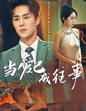 当爱已成往事（28集）马士尧（夸克网盘）封面图 - 爱情短剧