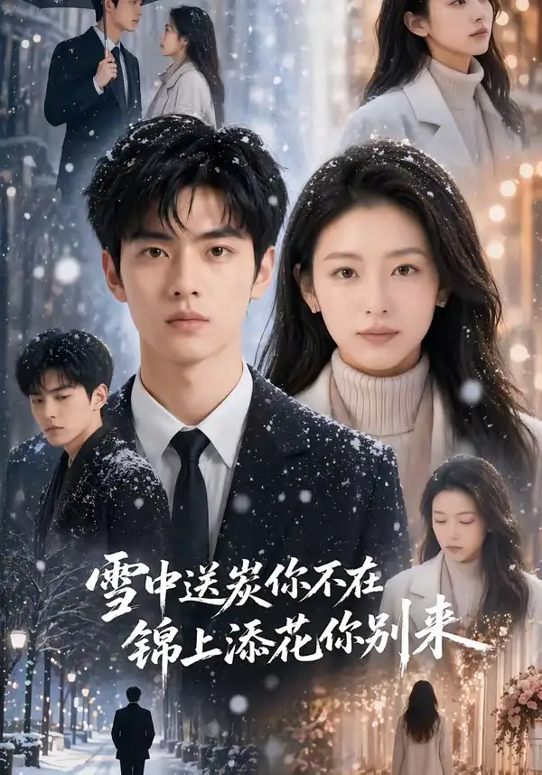 《雪中送炭你不在，锦上添花你别来（60集）（夸克网盘）》短剧封面