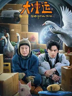 大冲运(16集)赵佳(夸克网盘) 大冲运(16集)赵佳(夸克网盘)封面