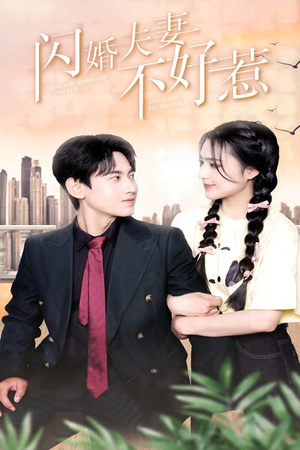 《闪婚夫妻不好惹》短剧封面