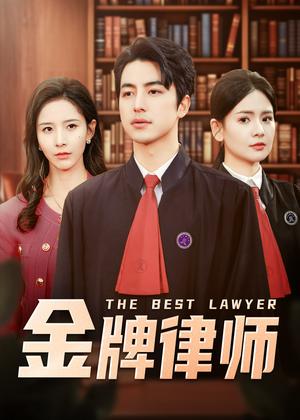 金牌律师（48集）吴昊&丁晓（夸克网盘）封面图 - 职场短剧