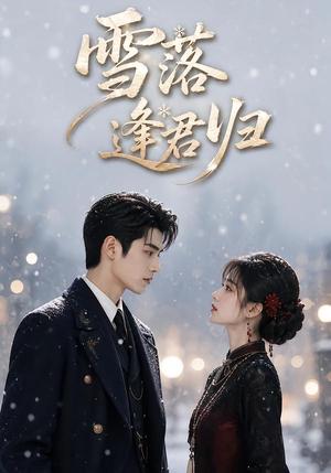 雪落逢君归 《雪落逢君归》短剧封面