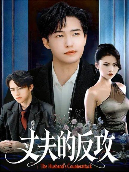 丈夫的反攻(78集) 丈夫的反攻(78集)封面