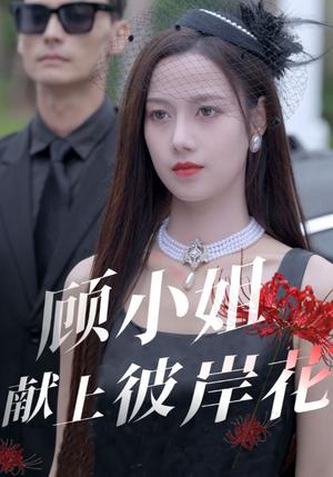 顾小姐献上彼岸花（69集）（夸克网盘）封面图 - 都市短剧