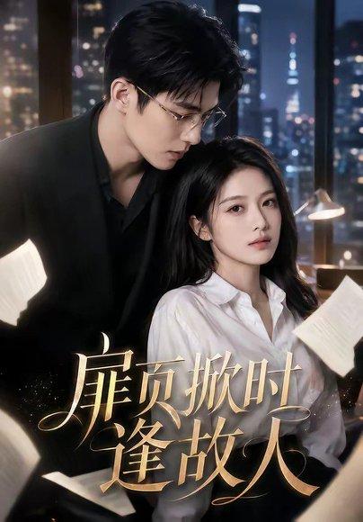 扉页掀时逢故人（80集）（百度网盘）封面