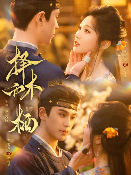 《择木而栖（84集）李若洵＆岳雨婷（1080P）（夸克网盘）》短剧封面