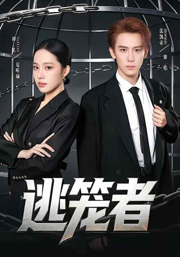 《逃笼者（71集）张凯帝＆谭笑（百度网盘）》短剧封面