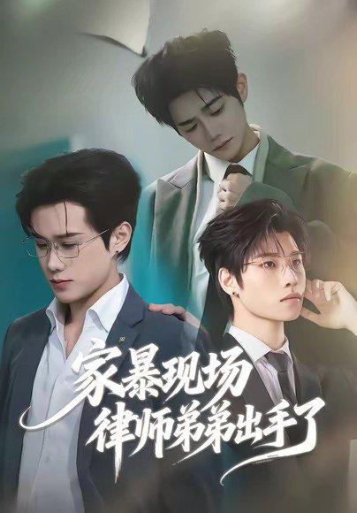 家暴现场律师弟弟出手了（30集）紫铭＆宵羽宁（百度网盘）封面图 - 家庭短剧