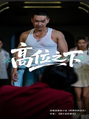 高位之下（65集）张家嘉&赵龙（夸克网盘）封面图 - 都市,剧情短剧