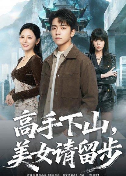 高手下山，mei女请留步（80集）金大钟＆李图图（百度网盘）封面图 - 都市短剧