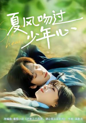 夏风吻过少年心（76集）张文浩＆顾雨欣（夸克网盘）封面图 - 爱情短剧