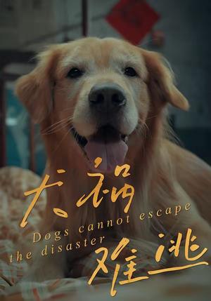 犬祸难逃（33集）刘丹＆青哥（夸克网盘）封面图 - 悬疑短剧