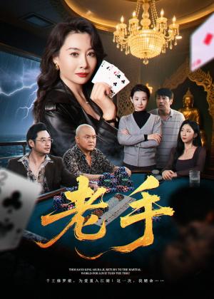 老手（36集）王圻嘉&袁珉封面图 - 都市动作短剧